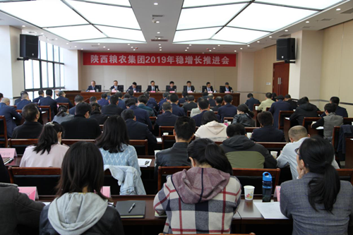 陜西糧農(nóng)集團(tuán)召開2019年穩(wěn)增長推進(jìn)會