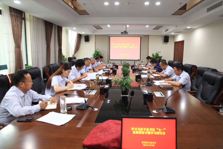 集團黨委中心組專題學(xué)習(xí)研討習(xí)近平總書記“七一”重要講話精神