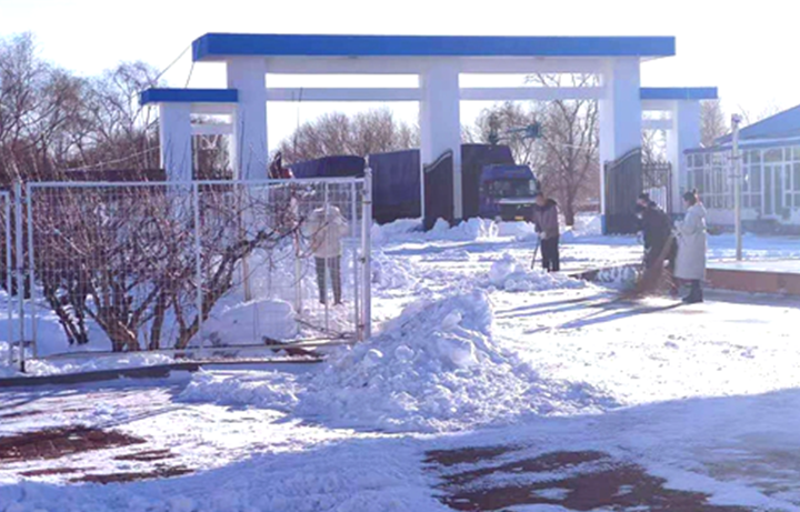 儲備糧管理集團：戰(zhàn)嚴寒、清暴雪 集團開魯庫保秋糧入庫