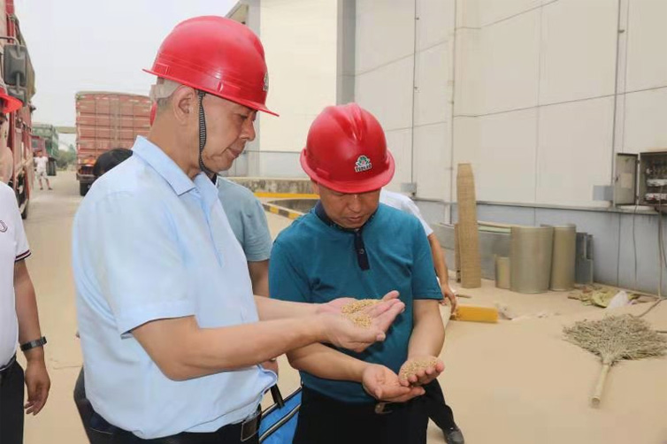 集團領(lǐng)導(dǎo)到所屬企業(yè)開展夏糧收購調(diào)研慰問工作