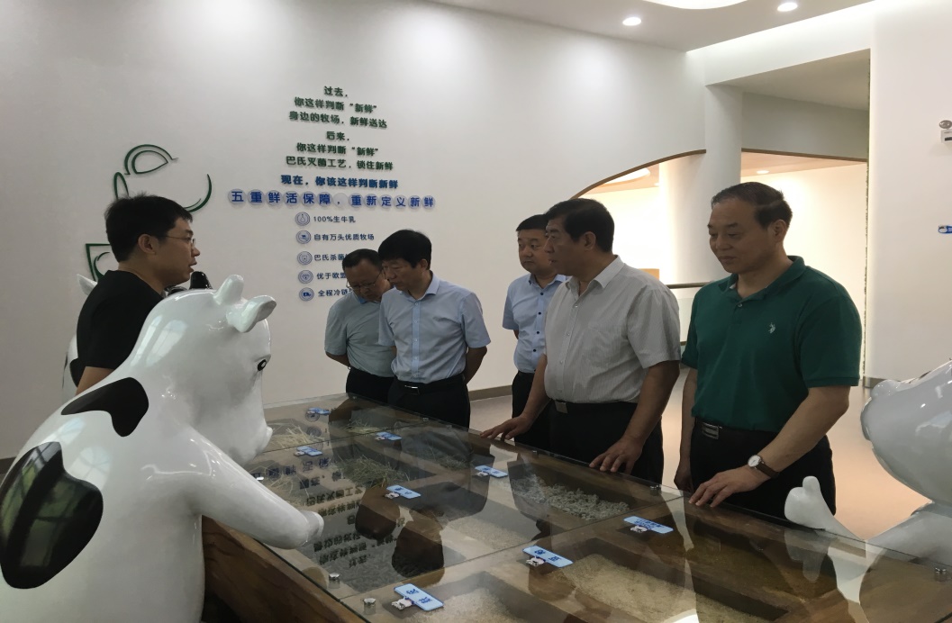 省國資委副巡視員杜芳軍一行督導(dǎo)檢查集團穩(wěn)增長促投資工作