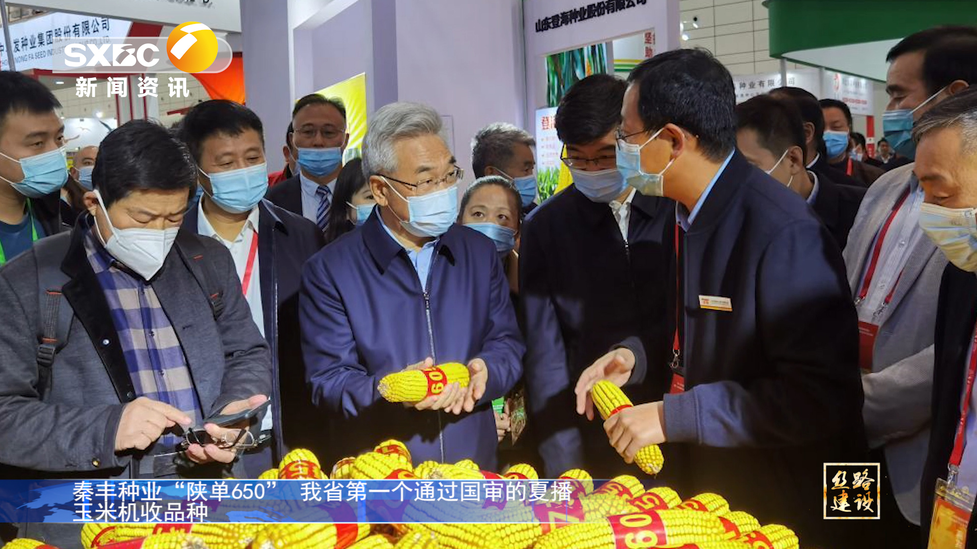 陜西電視臺(tái)《絲路建設(shè)》：秦豐種業(yè)“陜單650”我省第一個(gè)通過(guò)國(guó)審的夏播玉米機(jī)收品種